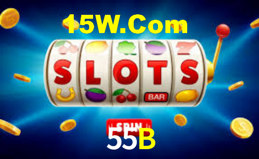 55B App Interface